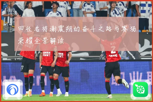田径名将谢震朔的奋斗之路与赛场荣耀全景解读