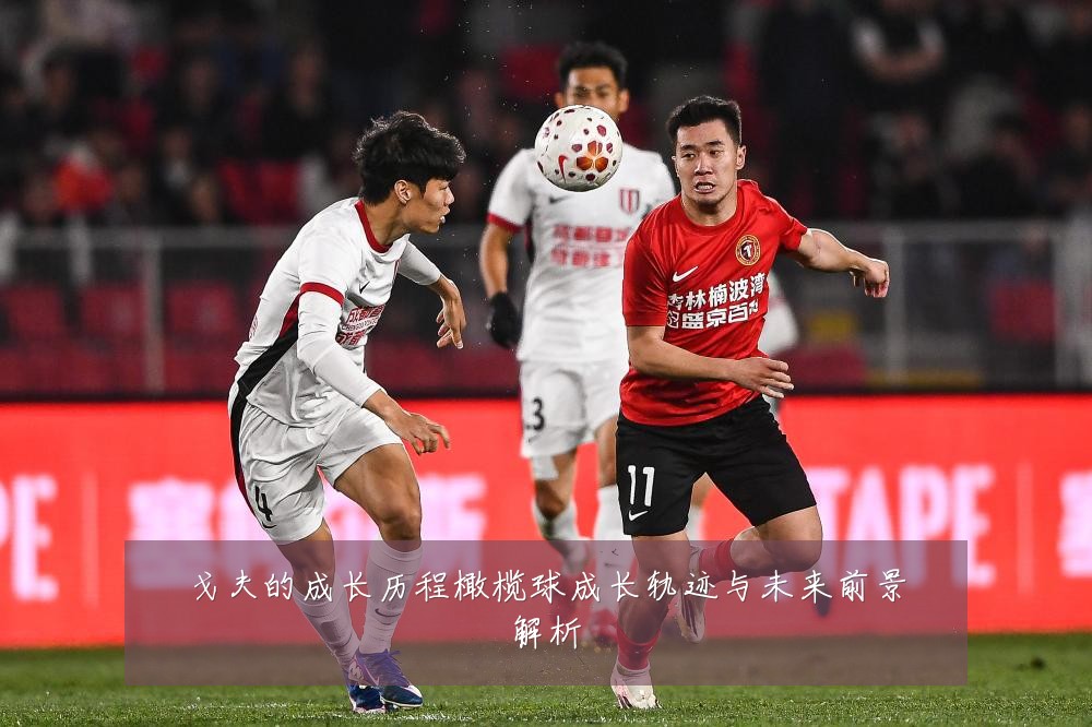 戈夫的成长历程橄榄球成长轨迹与未来前景解析